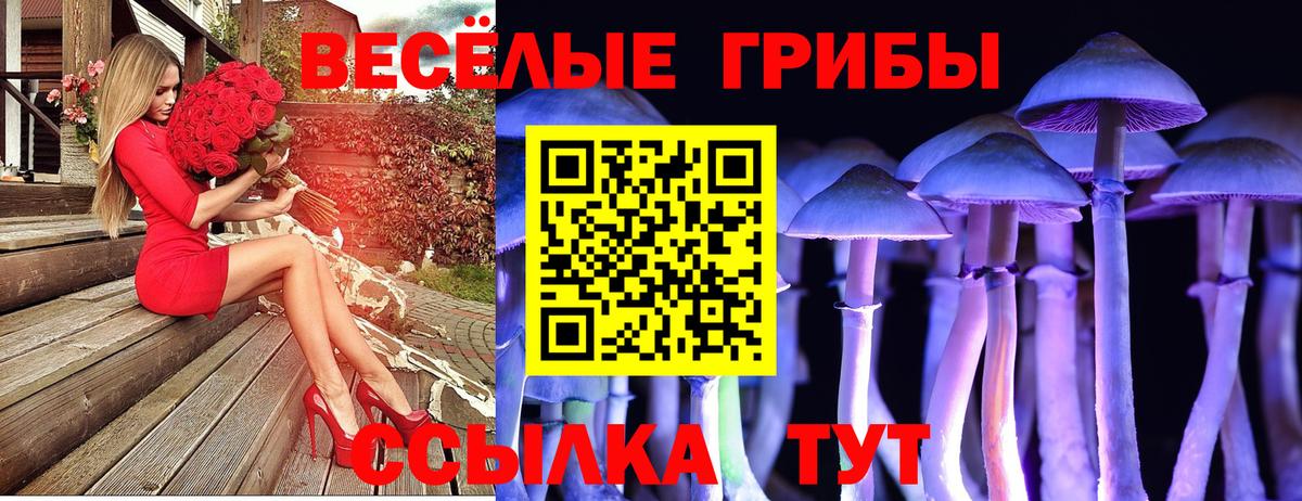Шелехов  Псилоцибиновые грибы MAGIC MUSHROOMS  Вход с VPN 