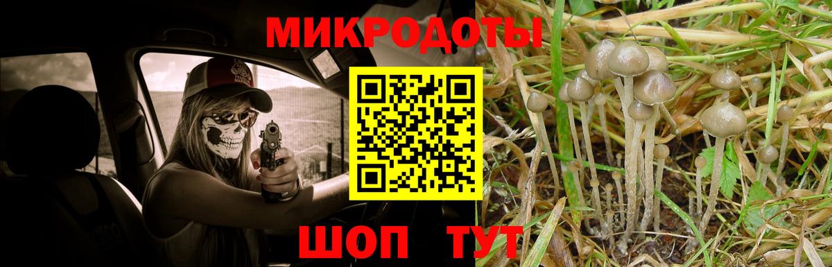 Галлюциногенные грибы мухоморы Шелехов